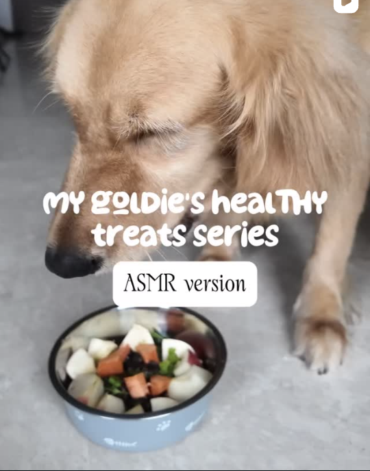 Dog treats ASMR
